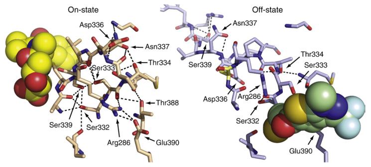 Fig. 2