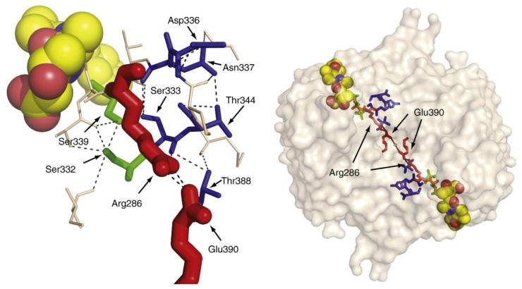 Fig. 3