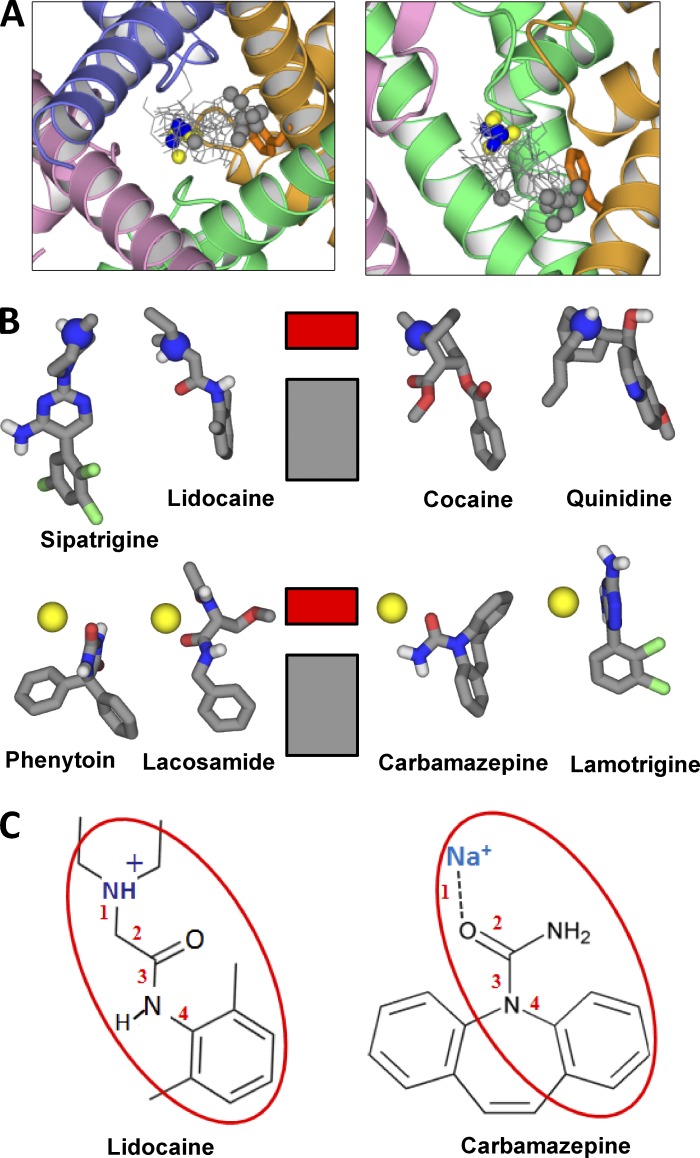 Figure 7.