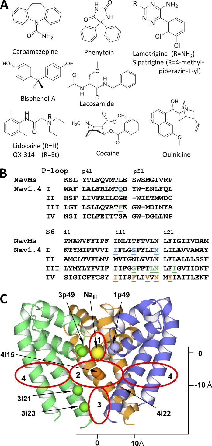 Figure 1.