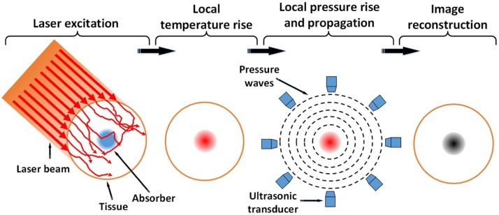 Fig. 9