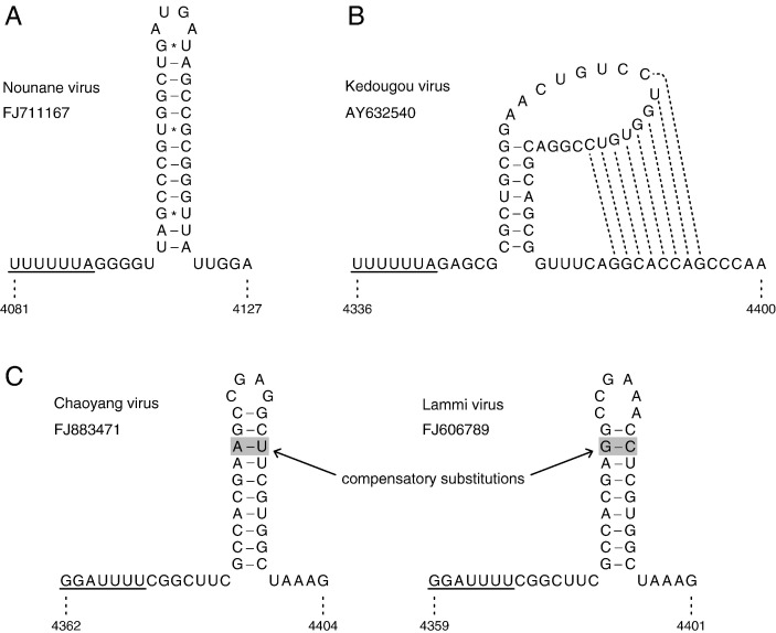 Fig. 9