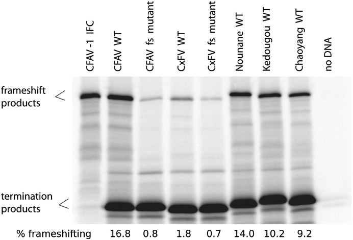 Fig. 10