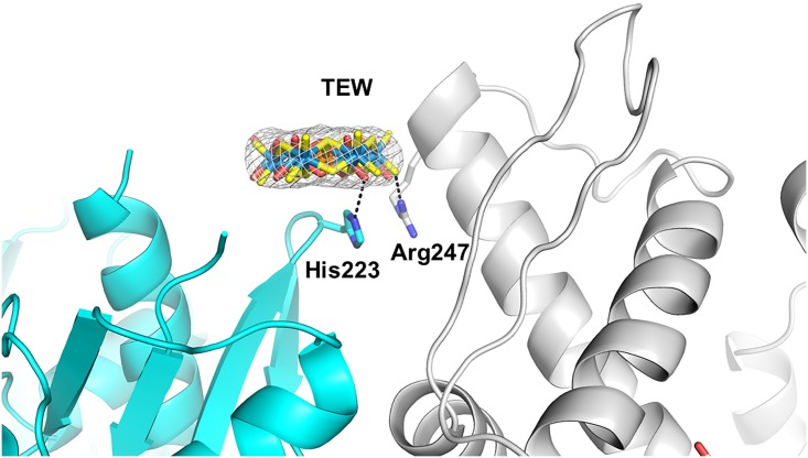 Fig 3