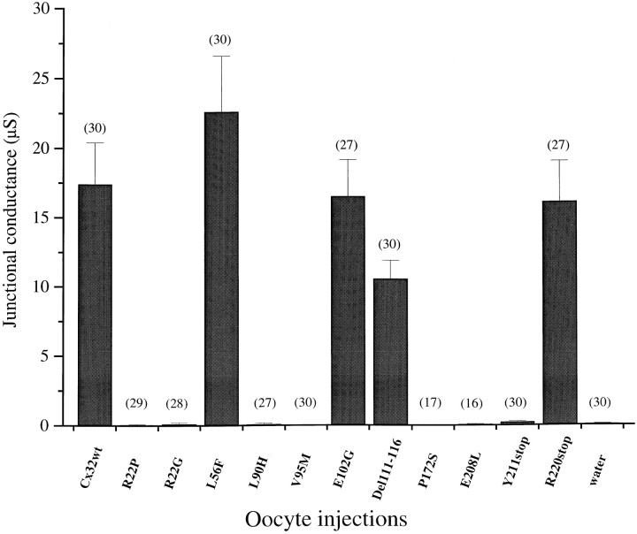 Fig. 3.