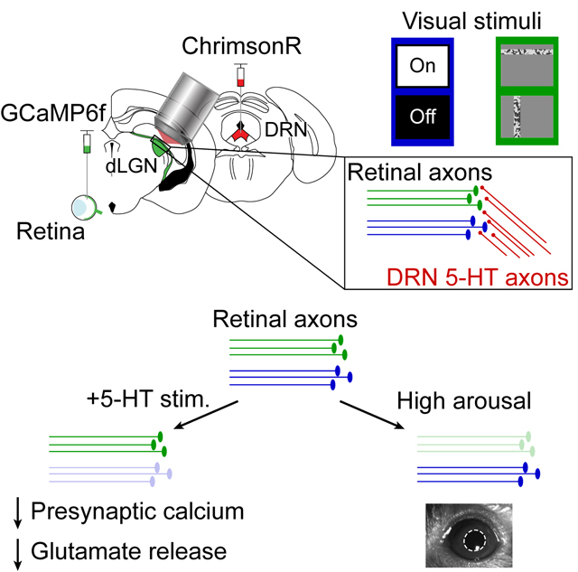 graphic file with name nihms-1861236-f0008.jpg