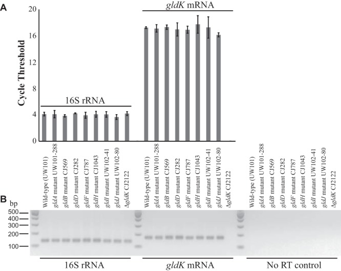 FIG 5