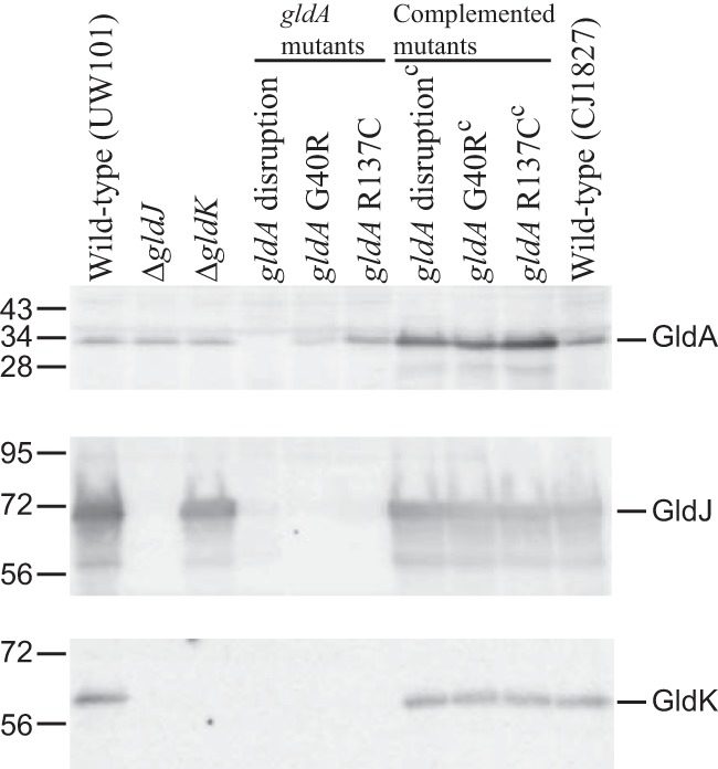 FIG 6