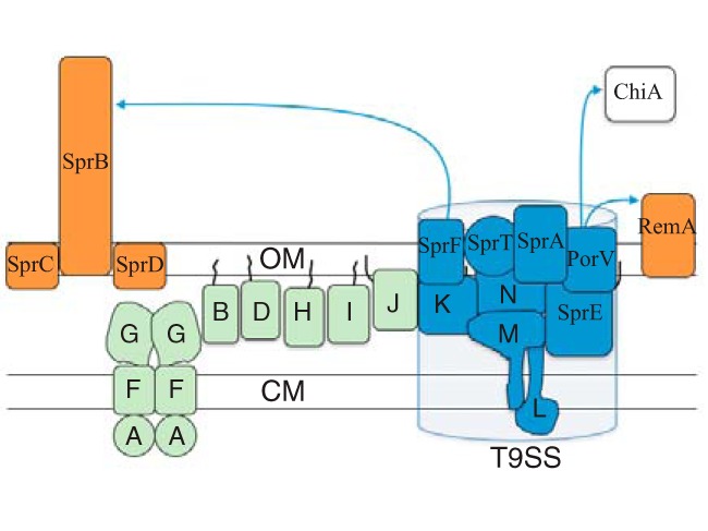 FIG 1