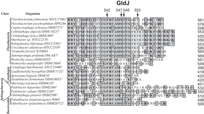 FIG 8