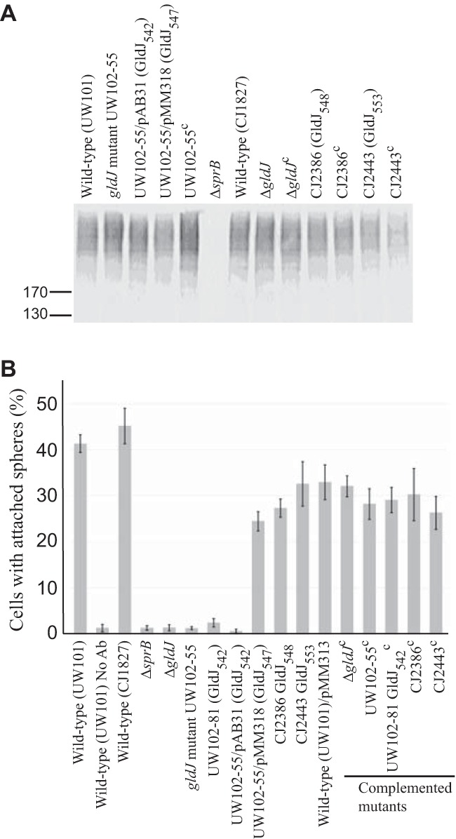 FIG 10