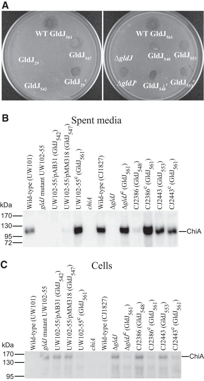 FIG 9