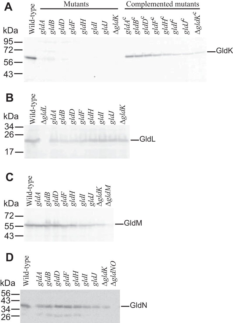 FIG 4