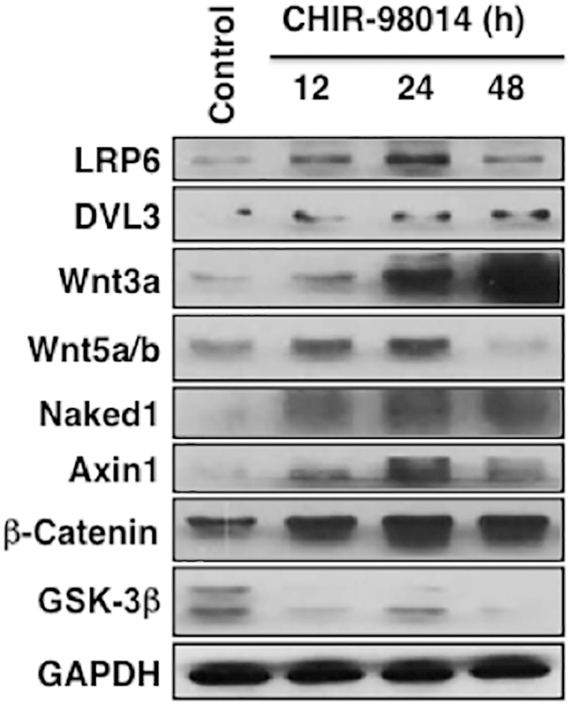 Figure 6.