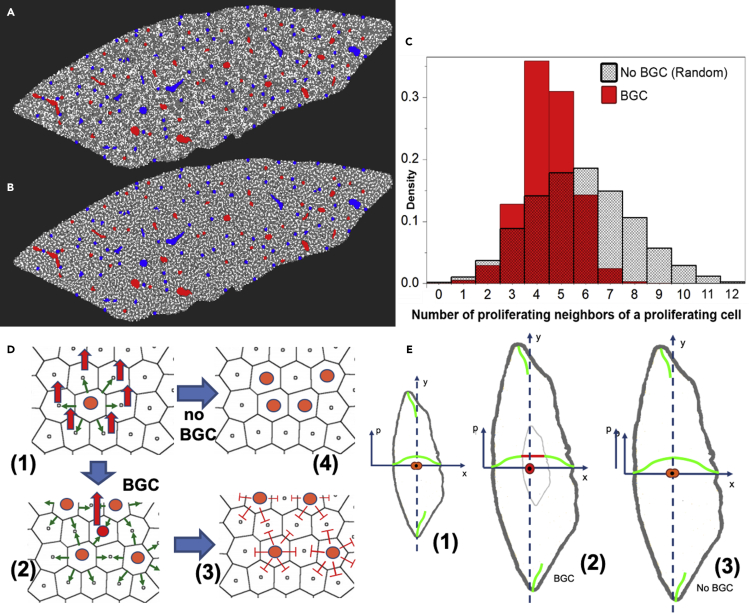 Figure 5