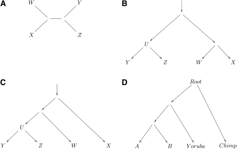 Figure 3 