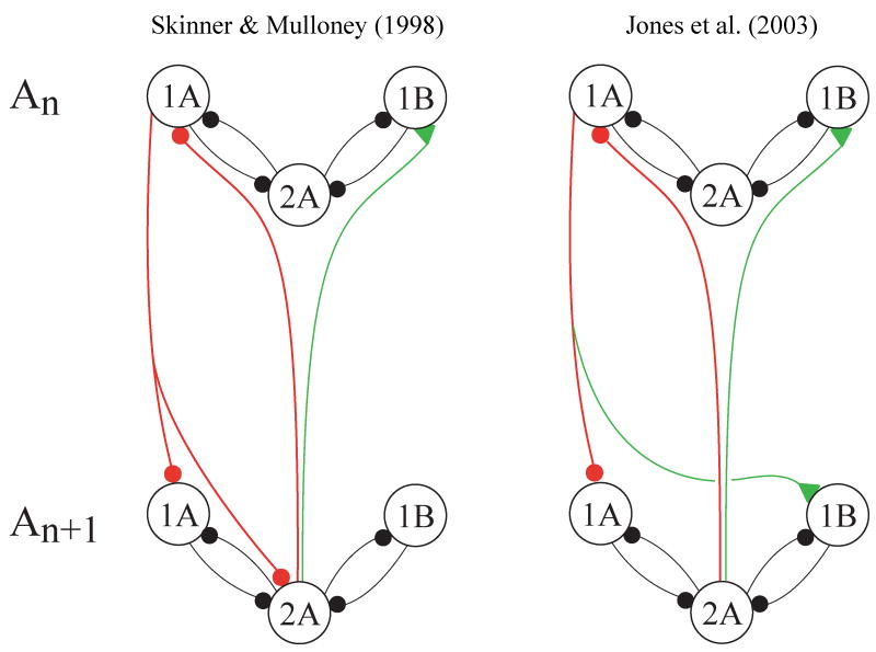 Fig. 10