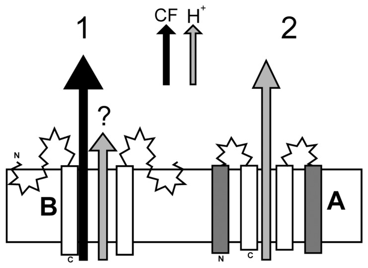 Figure 9