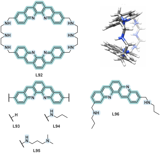 Figure 19