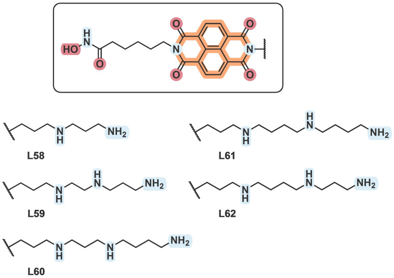 Figure 13