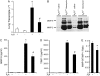 <b>Figure 6.</b>