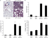 <b>Figure 4.</b>