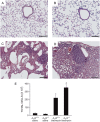 <b>Figure 1.</b>