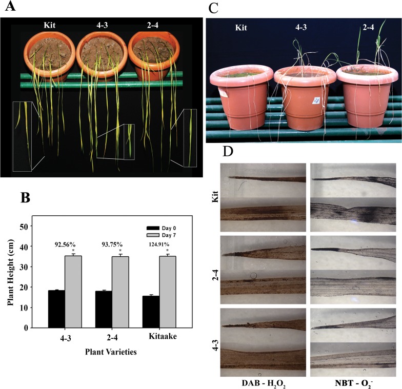 Fig 6