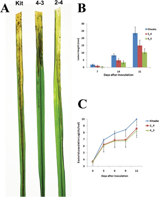 Fig 4