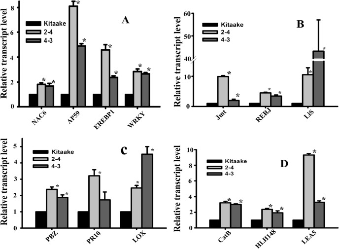 Fig 2