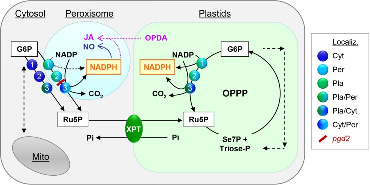 Figure 9.