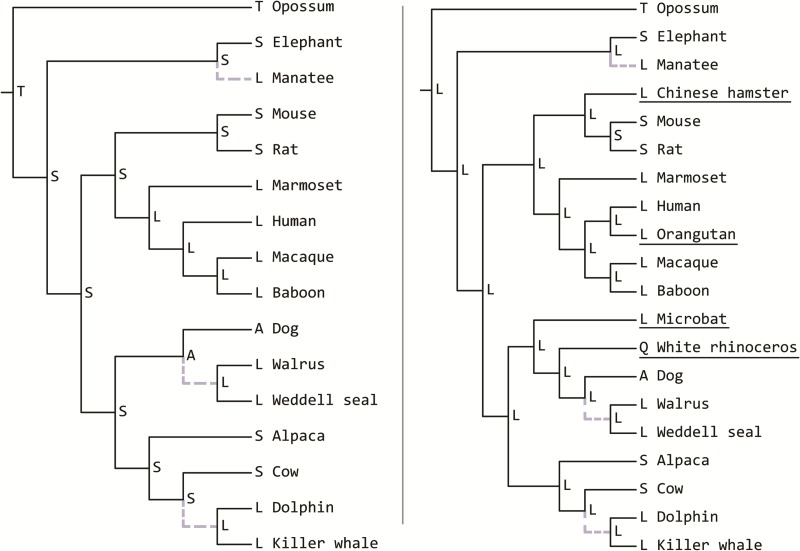 Fig. 4.—