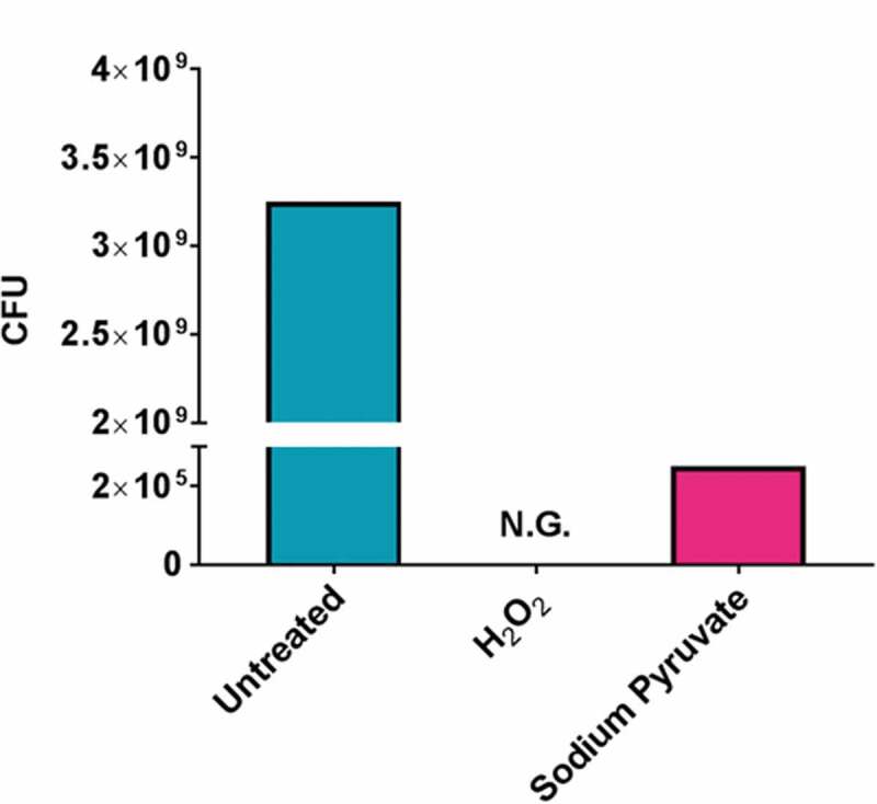 Figure 2.