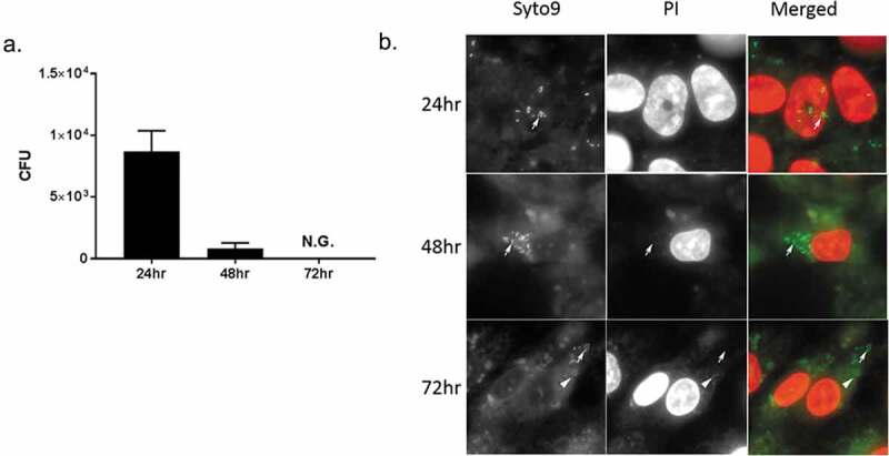 Figure 3.