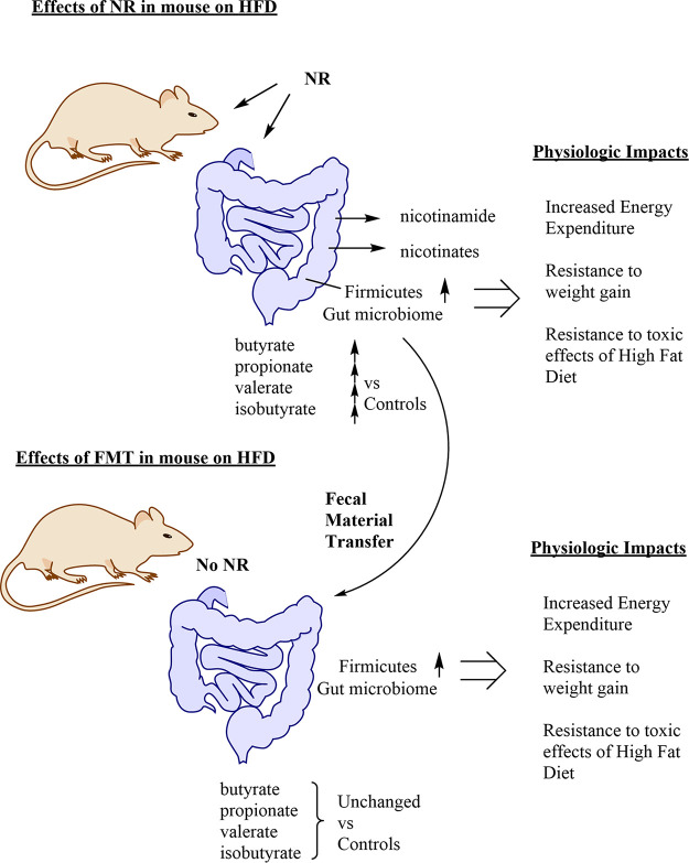 FIG 1