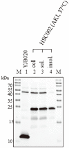 Fig. 5