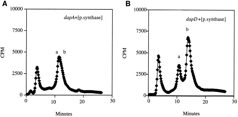 FIG. 5