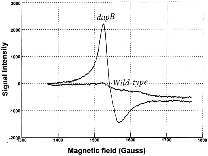 FIG. 8