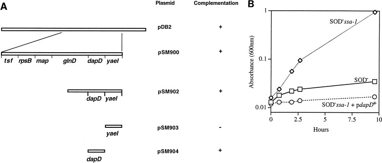 FIG. 1