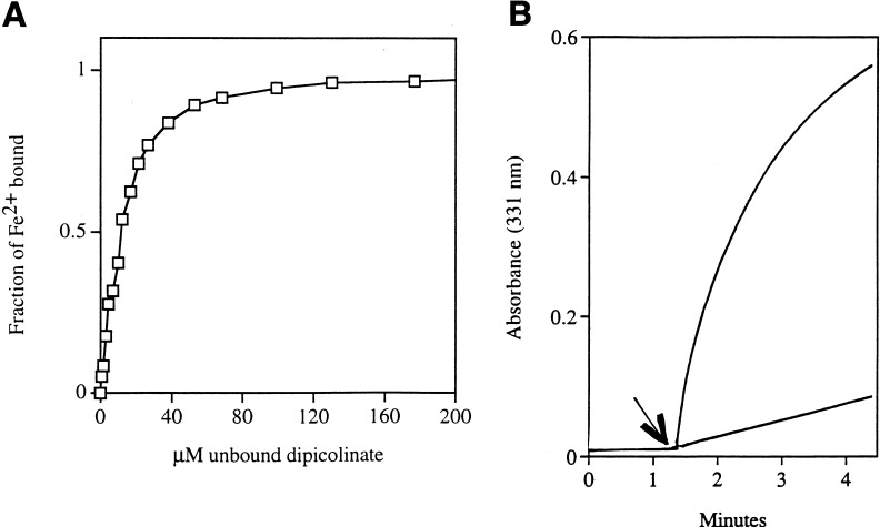 FIG. 7