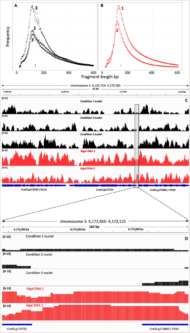 Figure 4