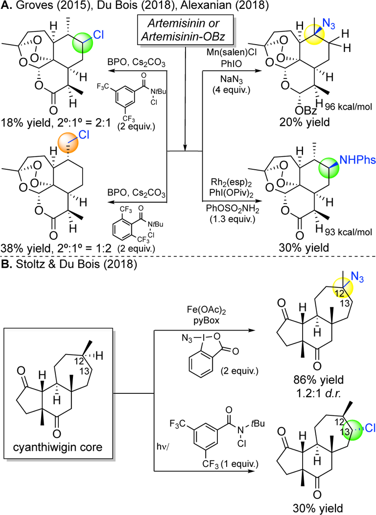 Figure 25.