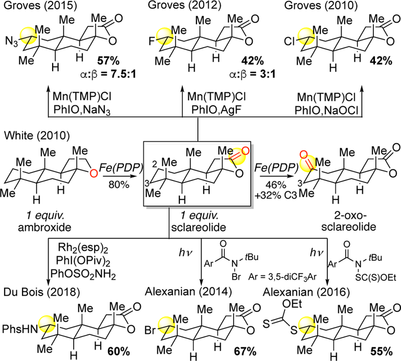 Figure 20.