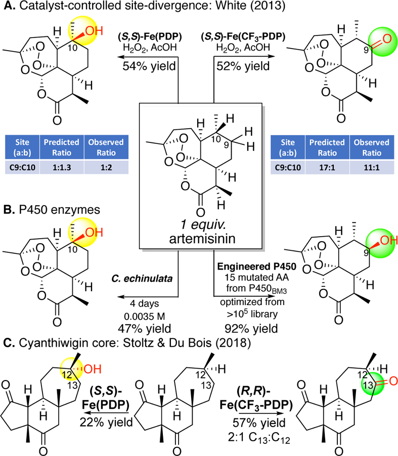 Figure 24.