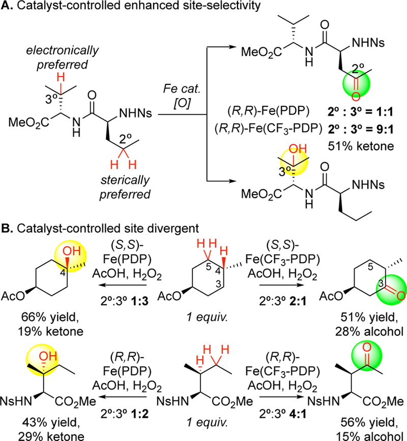 Figure 23.