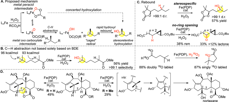 Figure 13.