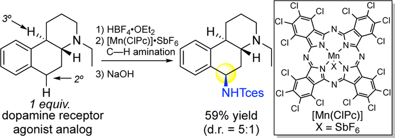 Figure 33.