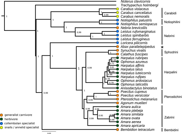 FIGURE 2