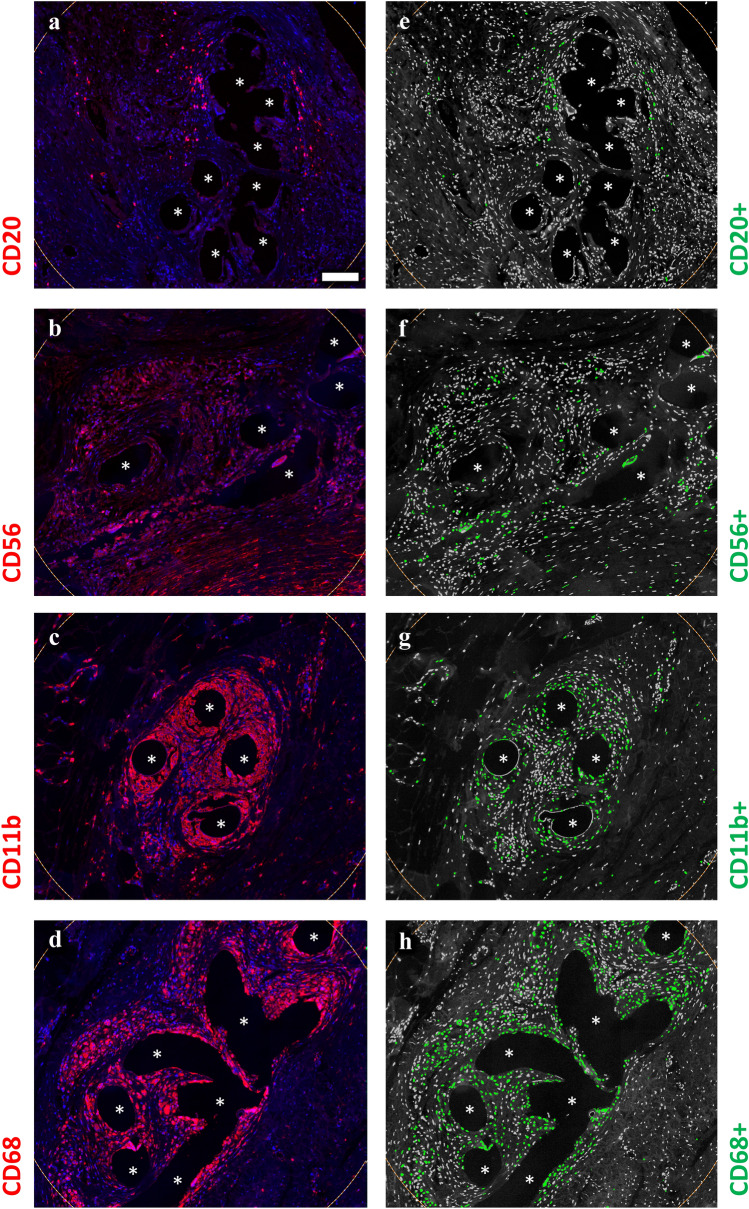 Fig. 4