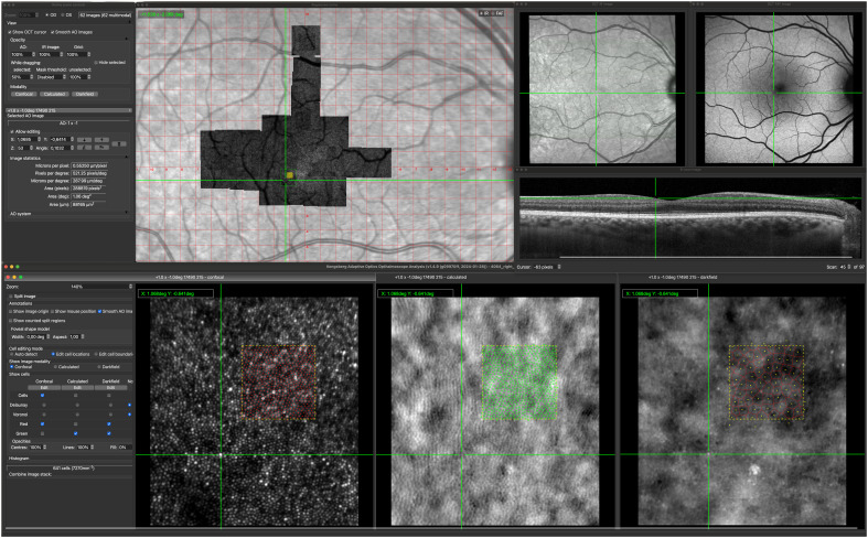 Figure 1